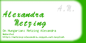 alexandra metzing business card